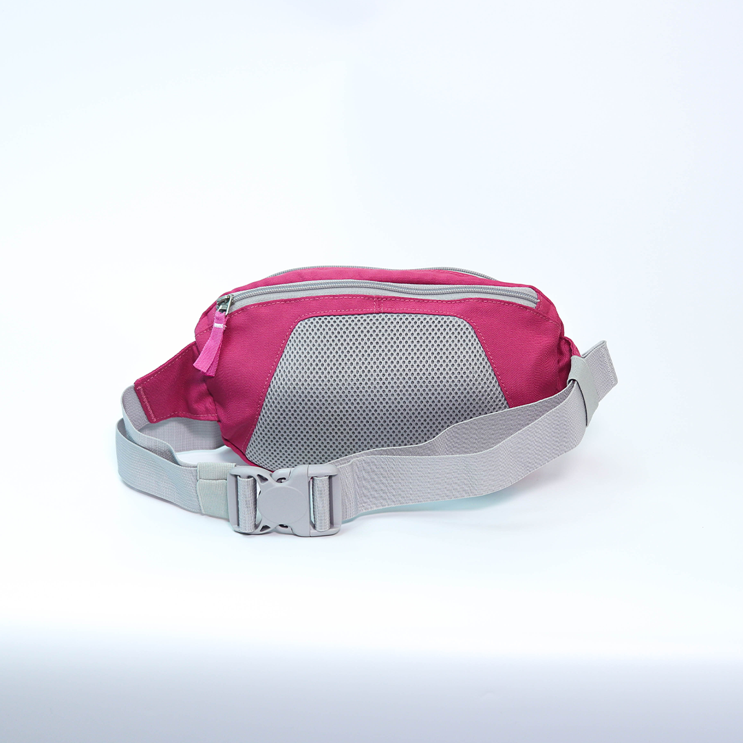 Jansport Pink Checked Fanny Pack